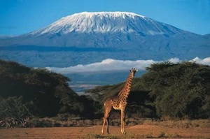 Virtual aspects of the "GLOBE Xpedition" will include the sharing of data collected on the trip as well as two live webinars hosted from the mountain.
