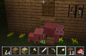 Minecraft piggies at the doorstep