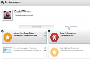 Blackboard_badges_on_the_student_side