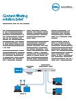 PDF screen shot