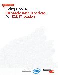 PDF screen shot