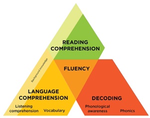 A chart shows the three elements of reading fluency and how they intersect to support literacy growth.