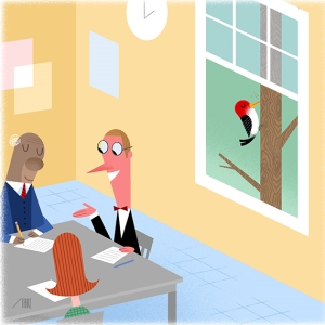 group meeting, woodpecker outside window