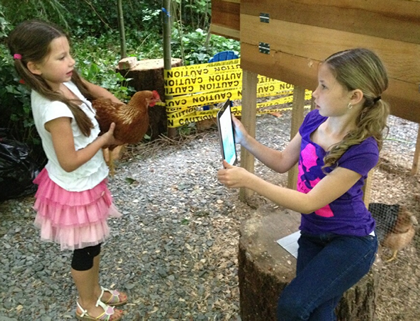 Students use an iPad to make a movie about chickens.