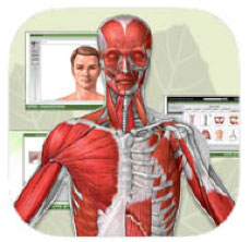 A.D.A.M. Interactive Anatomy Online