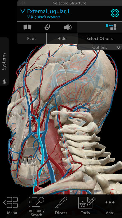 Visible Body, producer of human anatomy apps, has added augmented reality functionality to its Human Anatomy Atlas app.
