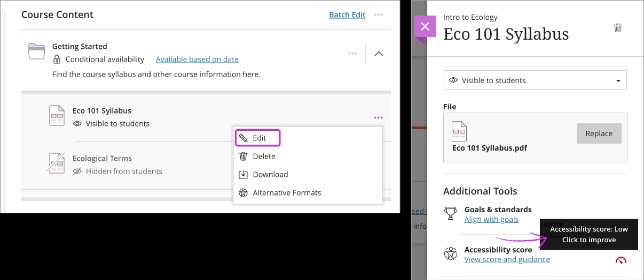 Blackboard Ally integration