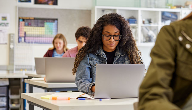 Students using laptops in classroom