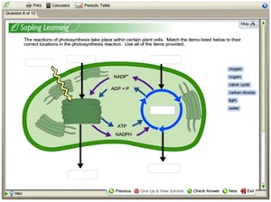 Sapling Brings Interactive Science Lessons To High School The Journal