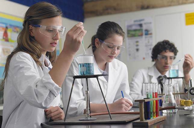Americans Rate U.S. STEM Education as Mediocre