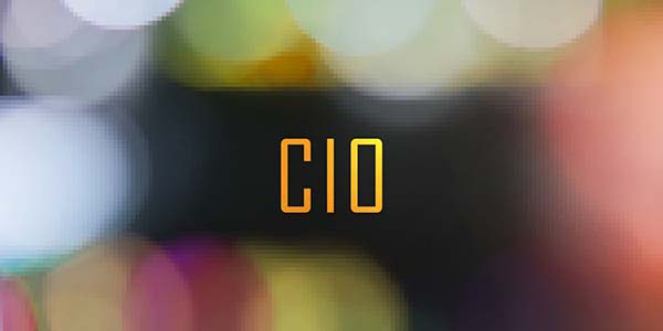 Nearly all, 95 percent, of chief information officers expect their positions to be changed or remixed owing to digitalization, according to a new report.