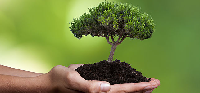 Sustainability Apps Teaser