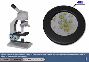 Odysseyware's new virtual labs are built on HTML5 for use on any mobile device.