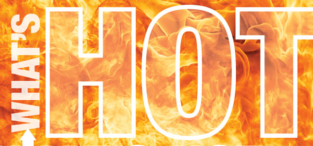 What's Hot for 2015